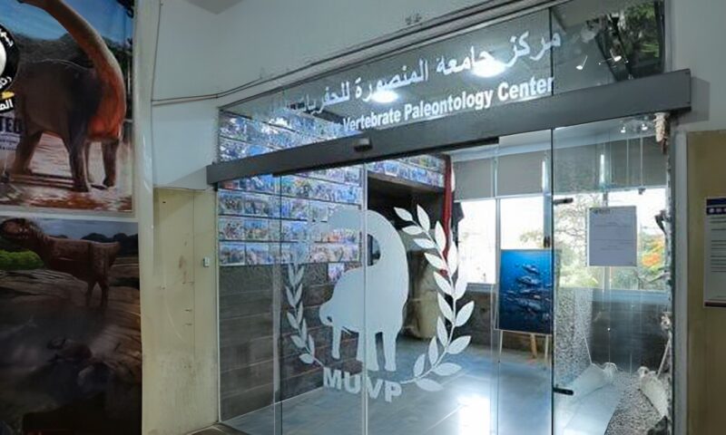 مجلس الوزراء يستعرض إنجازات مركز جامعة المنصورة للحفريات الفقارية عالميًا