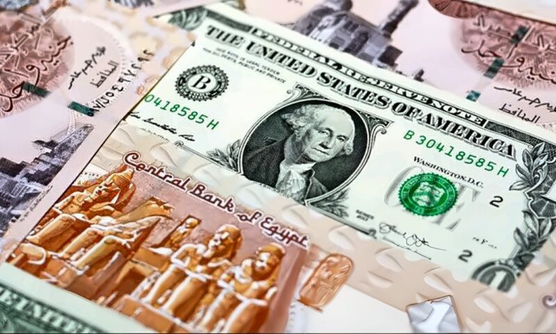 سعر الدولار مقابل الجنيه اليوم الجمعة 9 أكتوبر 2026.. آخر تحديث بالبنوك المصرية