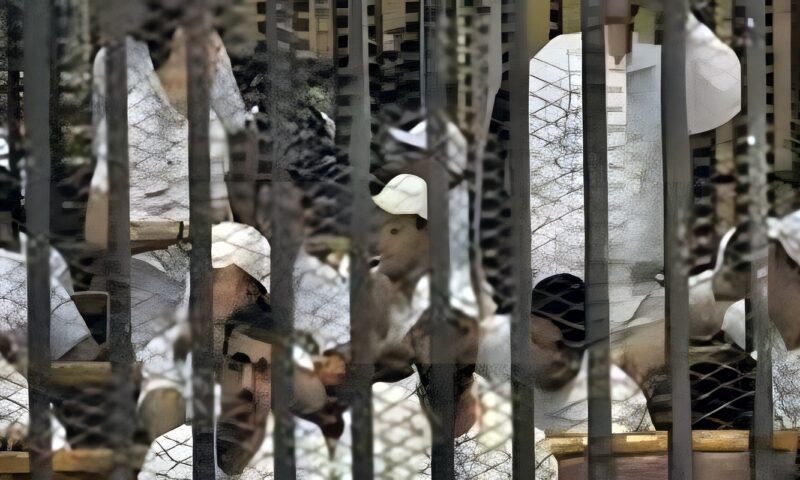 محاكمة 34 متهمًا في قضية «داعش الدقي».. بعد قليل