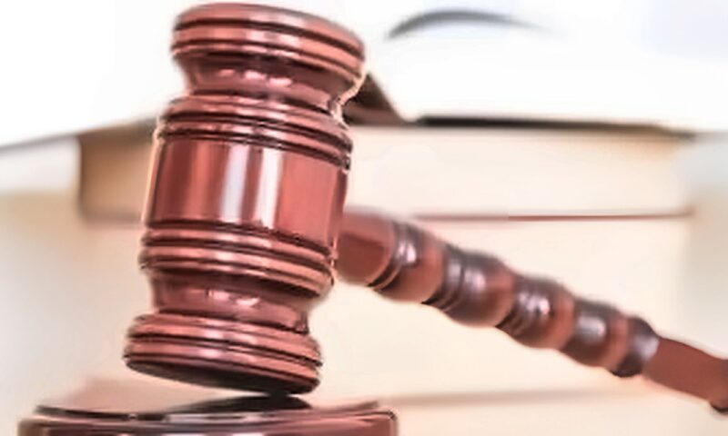 السجن 7 سنوات لعاطل قتل شقيقه بسبب خلافات مالية بالشرقية