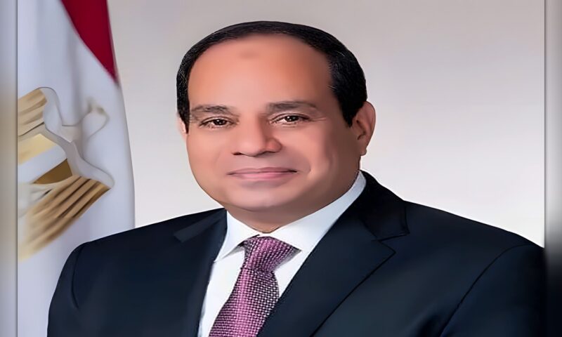 الرئيس السيسي يؤكد أهمية تفعيل دور مجلس الأعمال «المصري – الكوري»