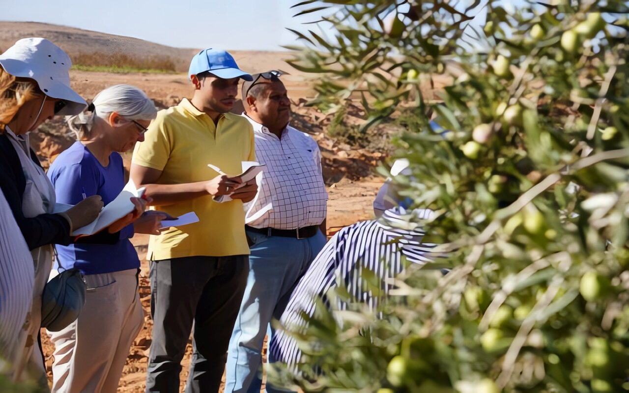 بحوث الصحراء يتابع نتائج مشروع «برايد» للتنمية الزراعية بمطروح