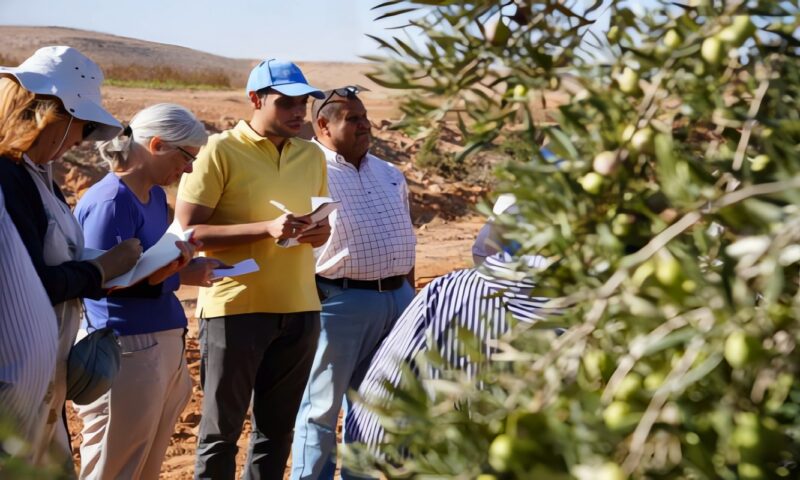 بحوث الصحراء يتابع نتائج مشروع «برايد» للتنمية الزراعية بمطروح