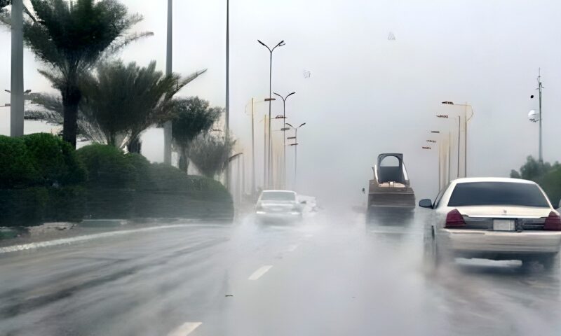 أمطار وبرودة حتى الخميس.. تعرف على حالة الطقس خلال الأسبوع
