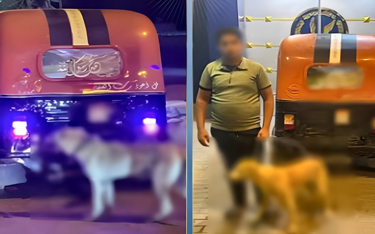 القبض على سائق توك توك بتهمة ربط كلب وسحله في البحيرة