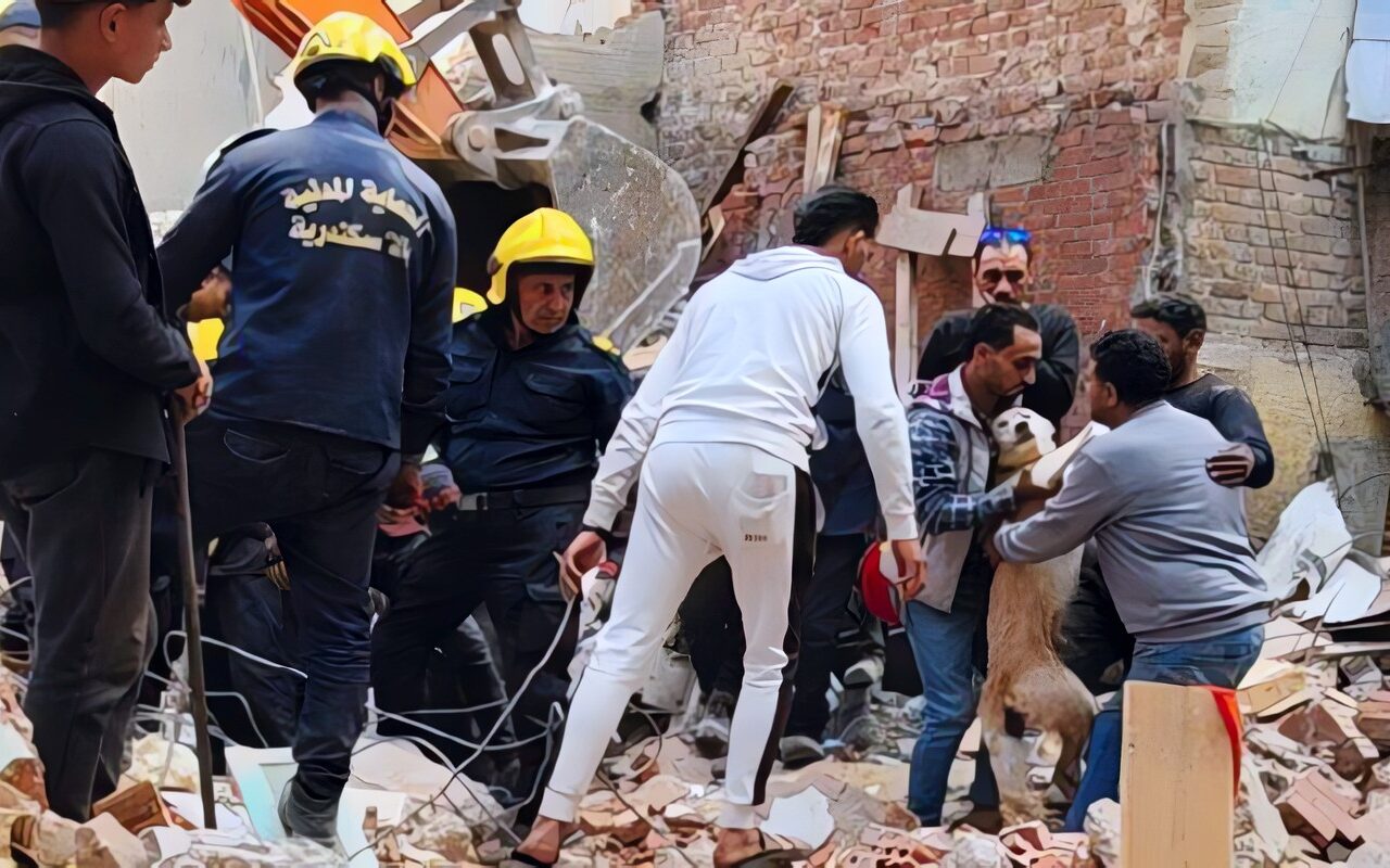 في لفتة إنسانية.. الحماية المدنية تنقذ كلبًا عالقًا تحت أنقاض عقار الترعة المردومة المنهار بالإسكندرية