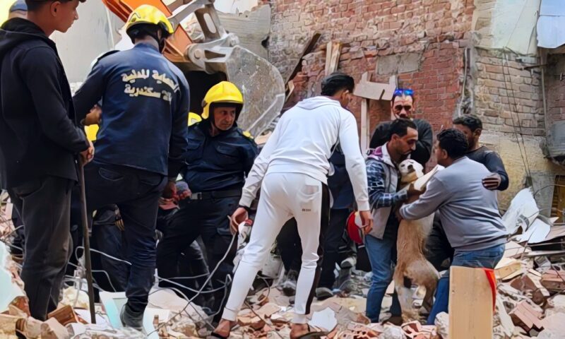 في لفتة إنسانية.. الحماية المدنية تنقذ كلبًا عالقًا تحت أنقاض عقار الترعة المردومة المنهار بالإسكندرية