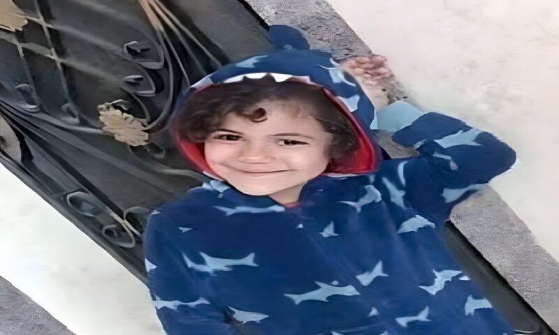 «جنايات الزقازيق» تقضي بالمؤبد لسائق قتل طفلة في بلبيس بالشرقية