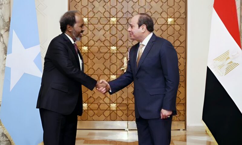 الرئيس السيسي يجدد دعم مصر الكامل لسيادة الصومال ووحدة وسلامة أراضيه