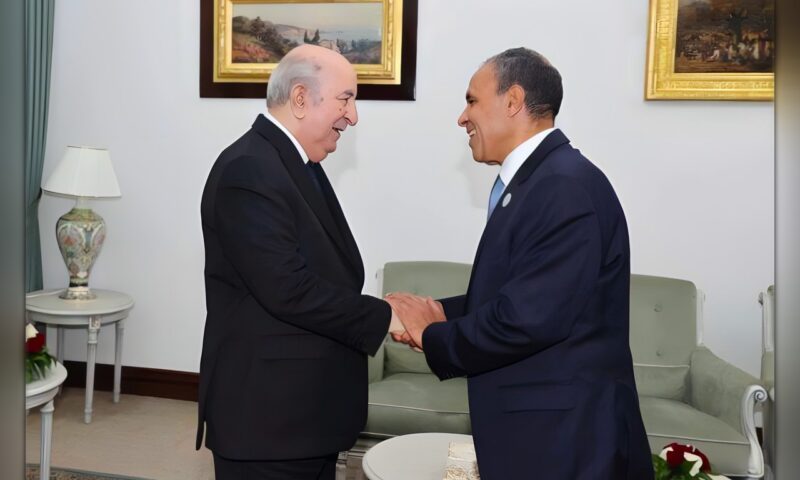 وزير الخارجية يبحث مع رئيس الجزائر تعزيز العلاقات الثنائية.. وينقل له تحيات الرئيس السيسي