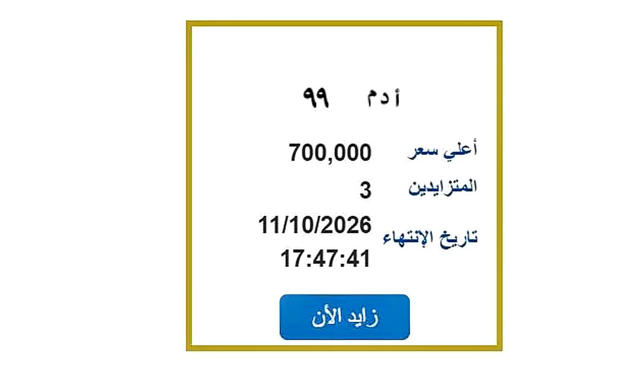 سعرها وصل 700 ألف جنيه.. مزايدة نارية على لوحة سيارة مميزة| اعرف الخطوات