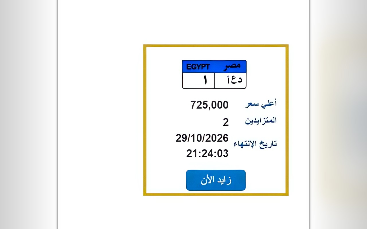 مزاد لوحات السيارات.. «د ع أ 1» تسجل 725 ألف جنيه