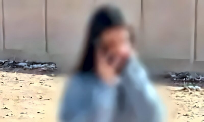 نظر استئناف المتهمين في قضية دهس بائعة الشاي بحدائق الأهرام.. اليوم