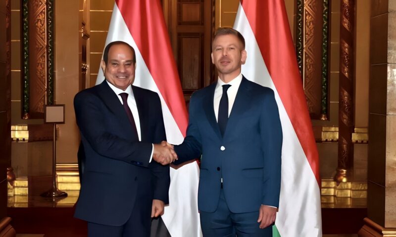 الرئيس السيسي: أمن الشرق الأوسط وأوروبا مترابط.. ونرفض تهجير الفلسطينيين من أرضهم