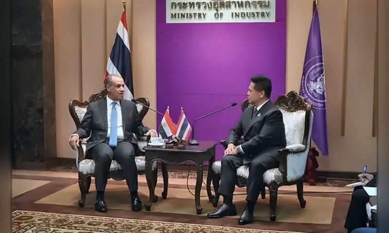 مصر وتايلاند تبحثان فرص الاستثمار والتصنيع المشترك في قطاعات واعدة