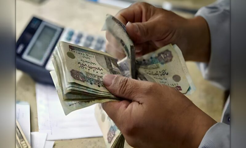 تعويض الدفعة الواحدة من التأمينات.. 6 حالات تتيح صرف المبلغ للمؤمن عليهم