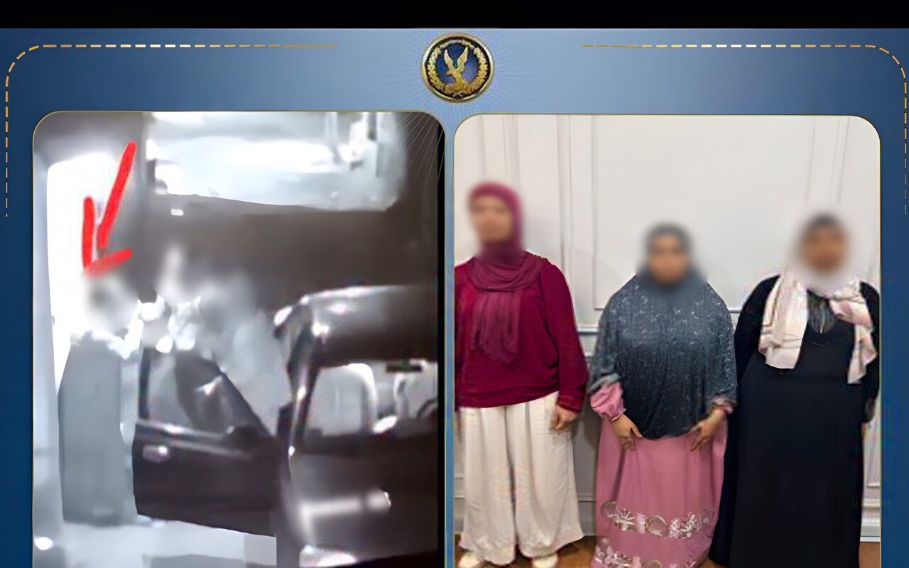 خلافات أسرية.. الداخلية تكشف ملابسات التعدي على سيدة بالمنوفية