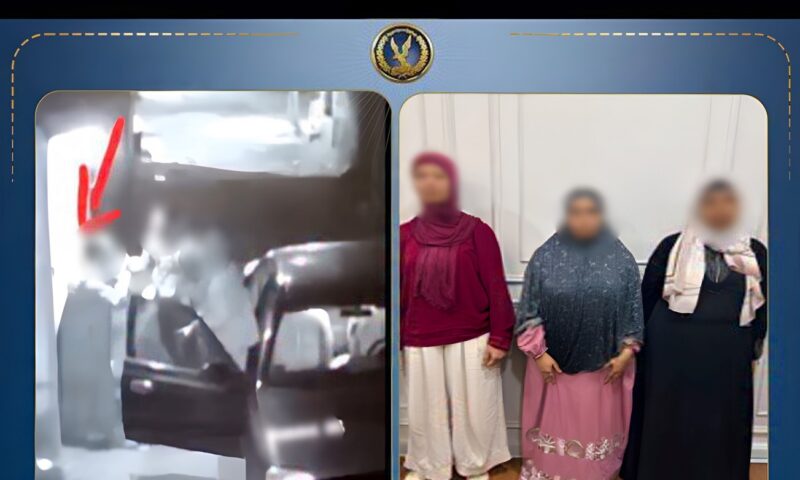 خلافات أسرية.. الداخلية تكشف ملابسات التعدي على سيدة بالمنوفية