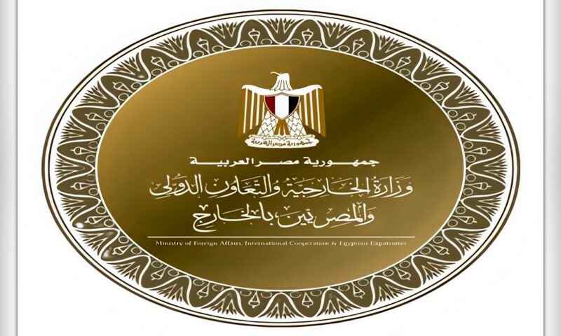 إطلاق التشغيل التجريبي لتطبيق الخدمات القنصلية للمصريين بالخارج