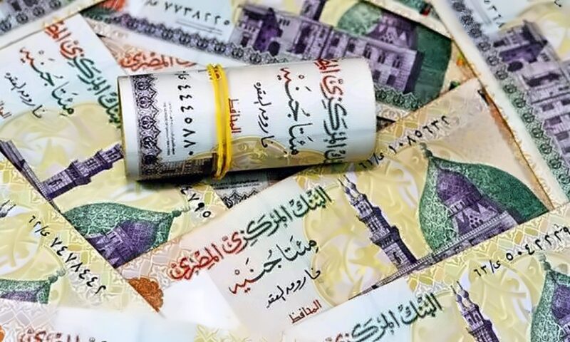موعد صرف معاشات شهر نوفمبر 2026.. اعرف أماكن الصرف ورابط الاستعلام