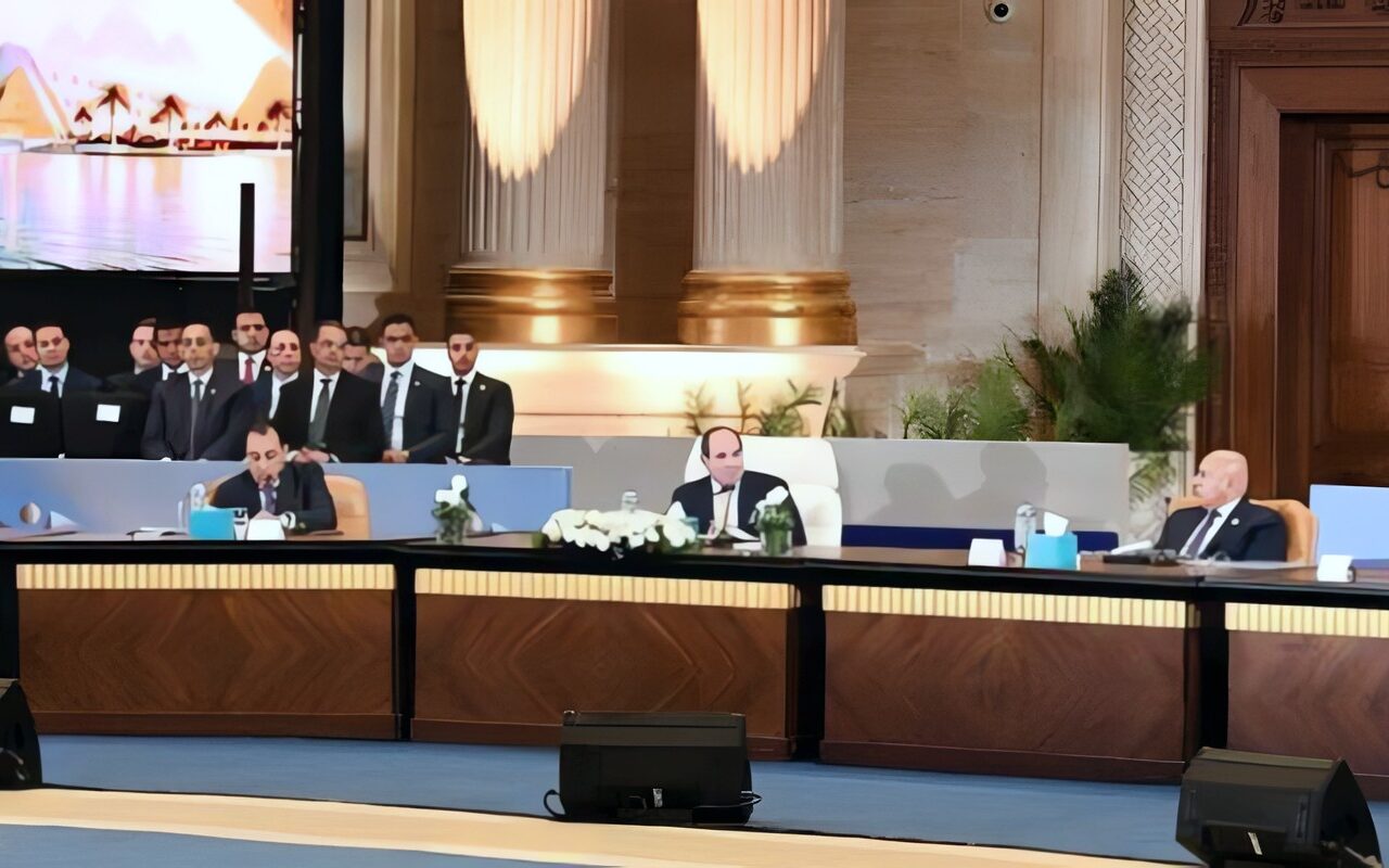 الرئيس السيسي: القطاع الخاص يمكنه شراء مساحات كبيرة من الأراضي المستصلحة