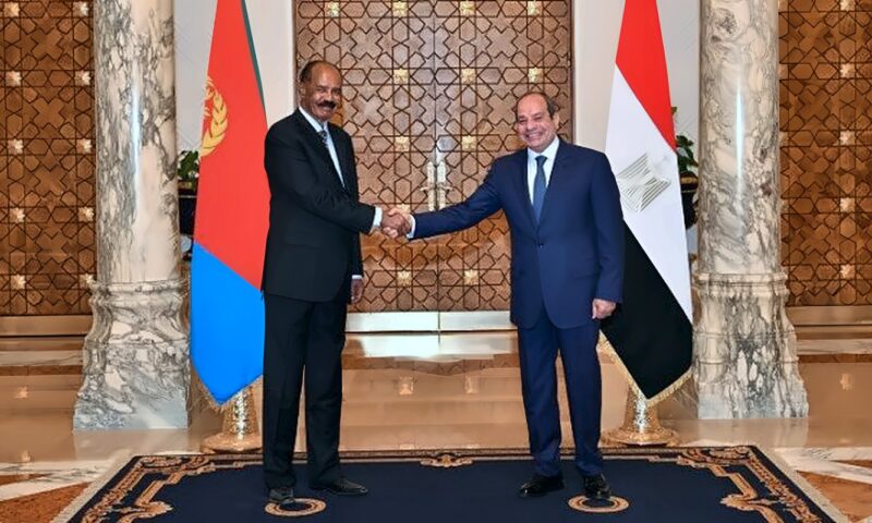 الرئيس السيسي يستقبل نظيره الإريتري.. ويشدد على رفض مصر القاطع لأي انتهاك لسيادة الدول