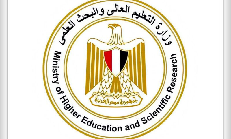 «التعليم العالي في أرقام».. مبادرة جديدة لاستعراض تطور الجامعات المصرية