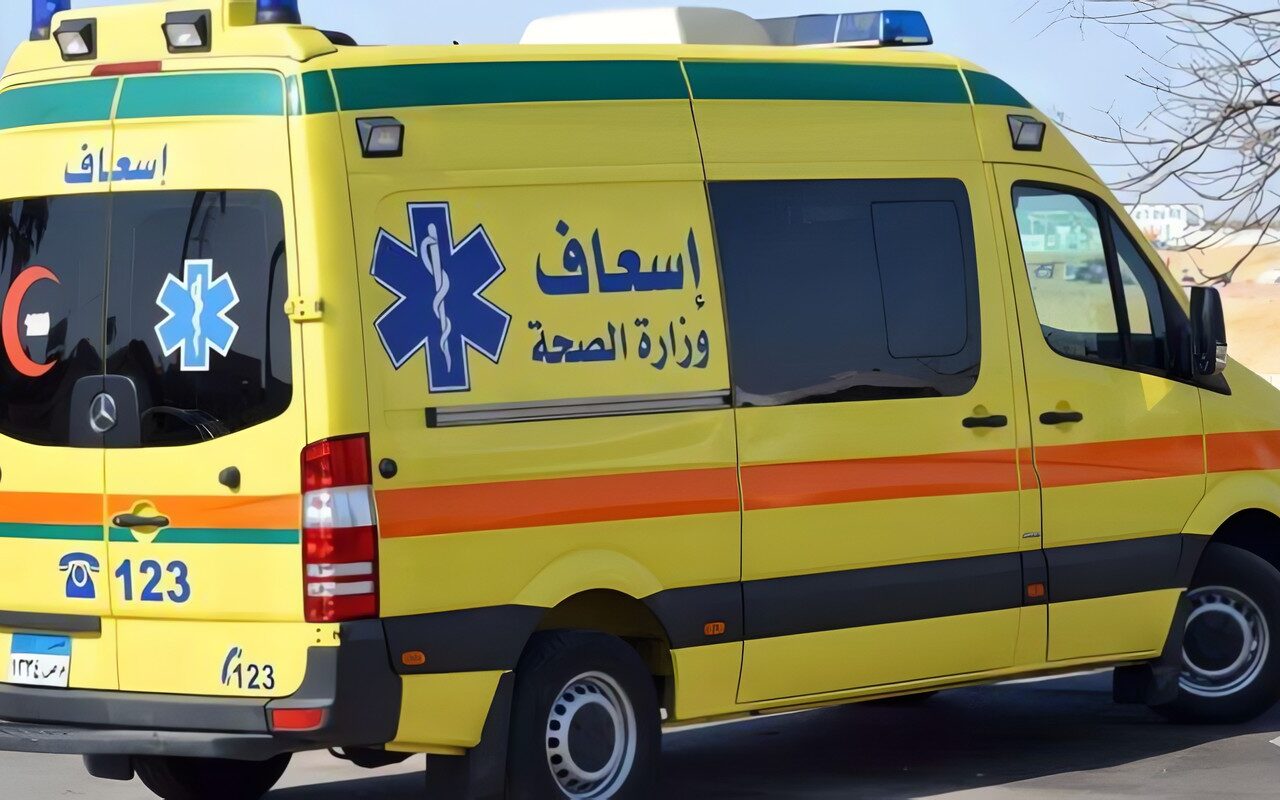 إصابة 4 أشخاص بينهم طفلان في هجوم كلب ضال بقرية هو في نجع حمادي
