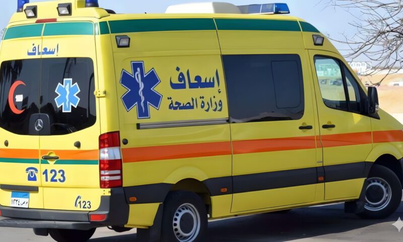إصابة 4 أشخاص بينهم طفلان في هجوم كلب ضال بقرية هو في نجع حمادي