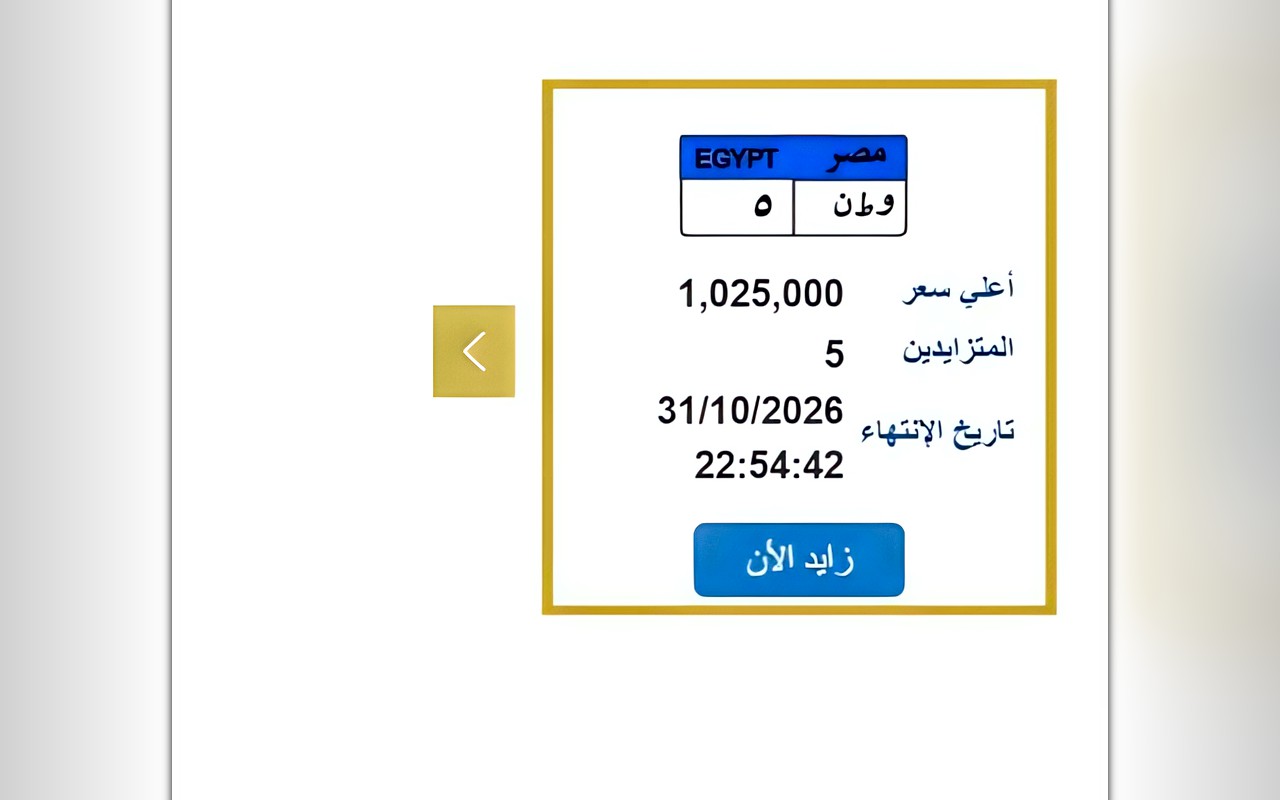سعرها تخطى مليون جنيه.. منافسة نارية على لوحة «و طن 5» بالمزاد