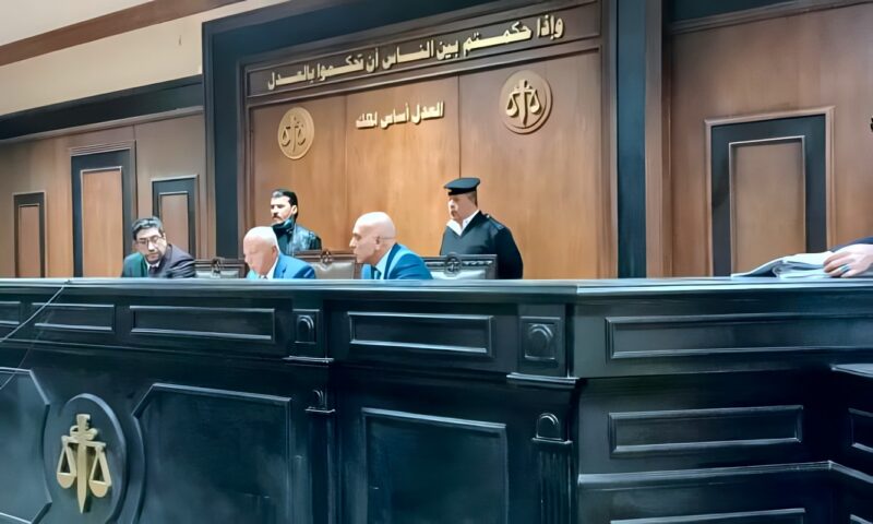 المؤبد لسائق قتل والده بعصا خشبية في الخانكة