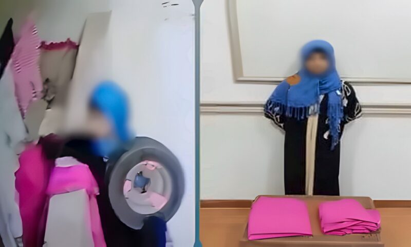 القبض على سيدة سرقت ملابس من شرفة مسكن في الغربية