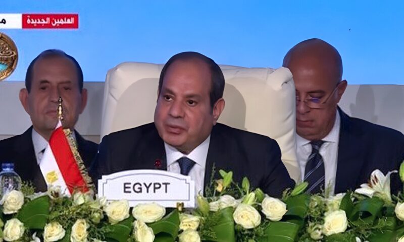 الرئيس السيسي يطالب بتفعيل التجارة الحرة الأفريقية وربط شبكات النقل والطاقة