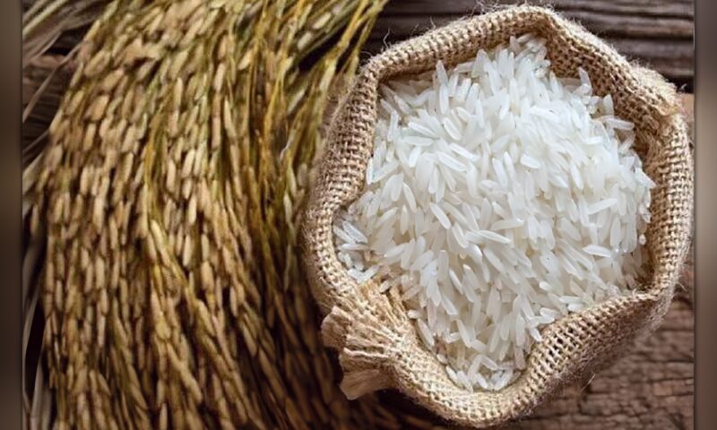 سعر طن الأرز الشعير اليوم الاثنين 19 أكتوبر في الأسواق.. الحبة الرفيعة والعريضة بكام؟