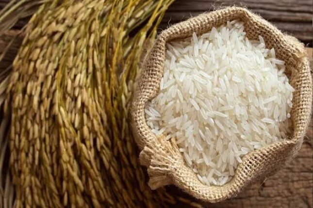 سعر طن الأرز الشعير اليوم الاثنين 19 أكتوبر في الأسواق.. الحبة الرفيعة والعريضة بكام؟