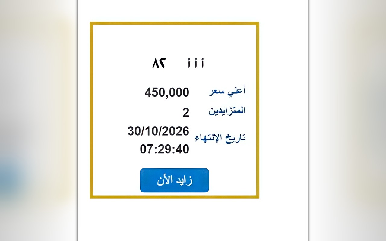 سعرها 450 ألف جنيه.. خطوات الحصول على لوحة معدنية مميزة من بوابة مرور مصر
