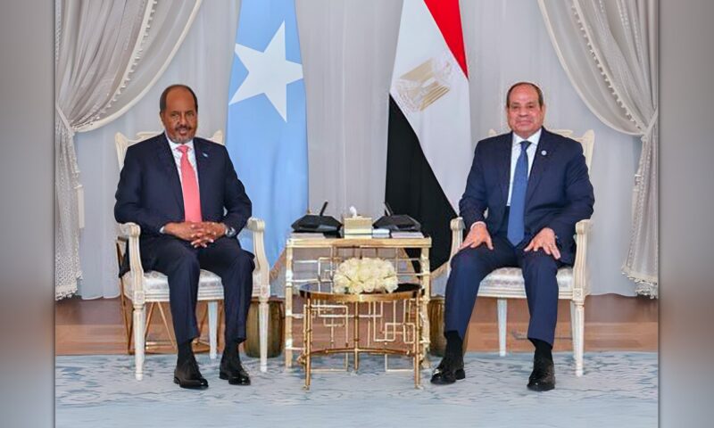 الرئيس السيسي يشدد على استمرار دعم مصر للصومال وكافة مؤسساته الوطنية