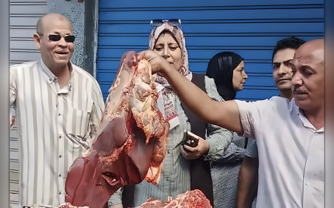 ضبط 500 كيلو لحوم مصابة بالصفراء وأختام مزورة في المنوفية