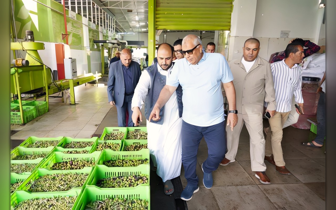 محافظ مطروح يتفقد استعدادات مهرجان الزيتون الدولي الأول
