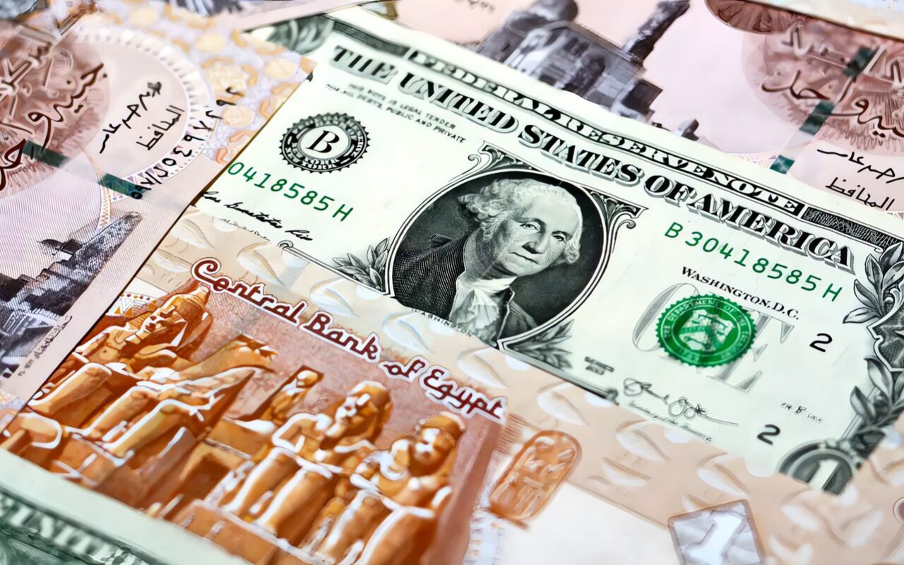سعر صرف الدولار يرتفع بنحو 8.26 جنيه خلال 8 أشهر.. تجاوز 56 جنيهًا