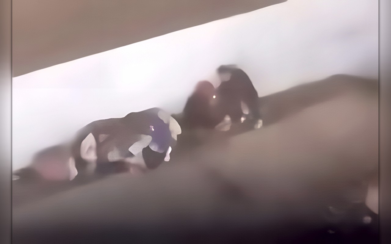 بسبب فيديو مثير للجدل.. الداخلية تكشف حقيقة تعاطي شخص وسيدة للمخدرات