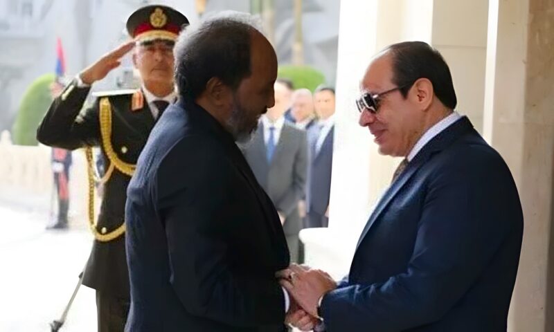 رئيس الصومال: علاقتنا مع مصر تاريخية وأخوية ونقدر دعمها لنا سياسيًا وأمنيًا وتنمويًا