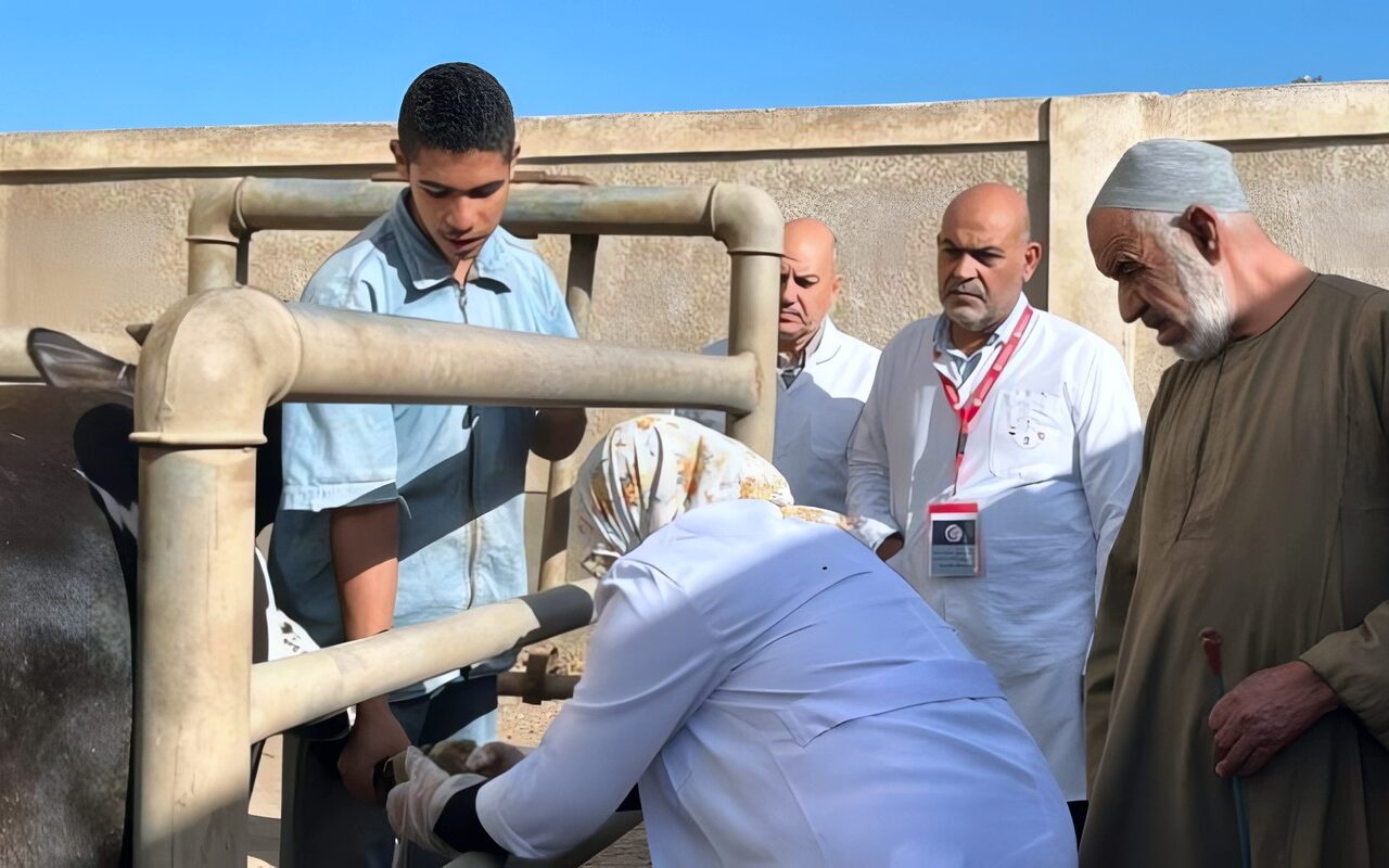 قافلة بيطرية بالقليوبية تعالج 8840 حالة من رؤوس الماشية والطيور بقرية الشموت مجانًا