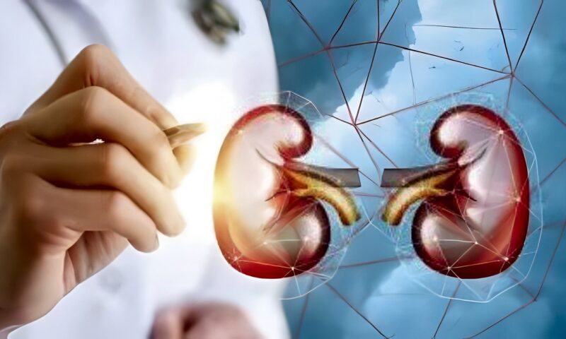 حصوات الكلى وطرق الوقاية.. 3 عوامل تحدد هل تخرج تلقائيا أم تحتاج لتدخل طبي