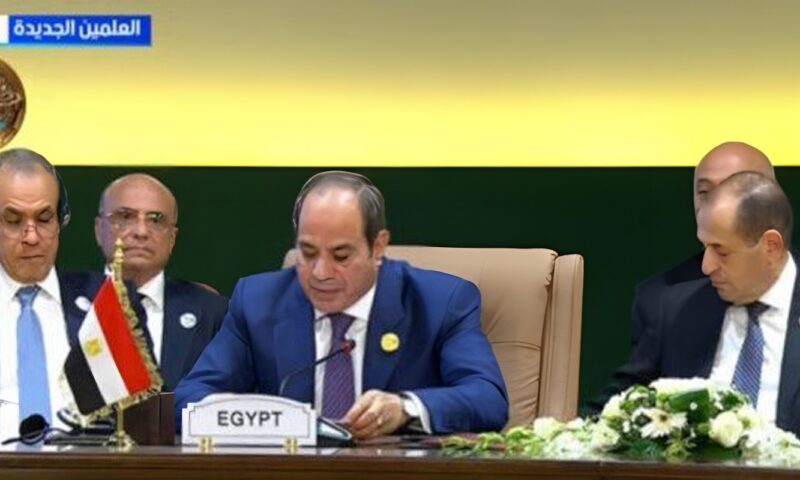 الرئيس السيسي: القطاع الخاص يمثل محركا رئيسيا ضمن أجندة إفريقيا 2063