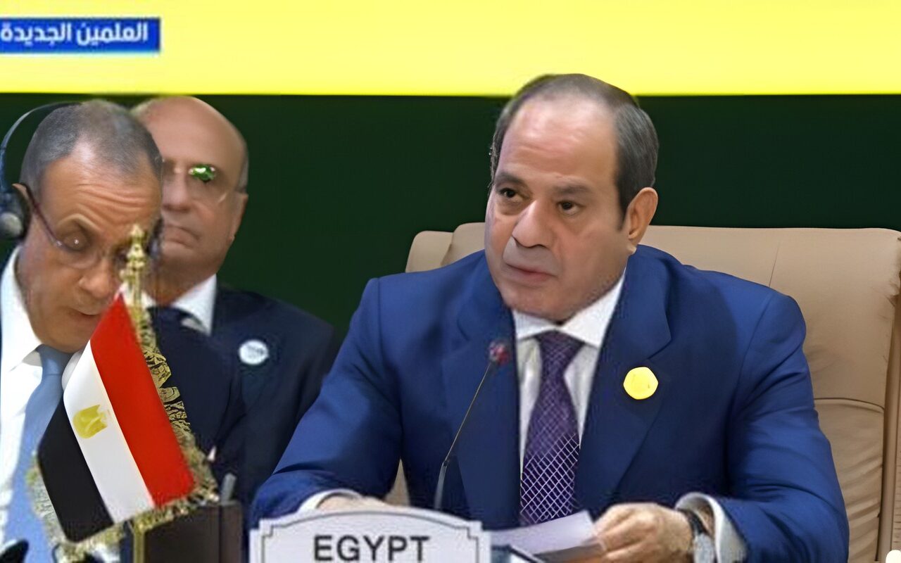 الرئيس السيسي: مصر تواصل الجهود لإنشاء صندوق للتنمية في إفريقيا وتعزيز قدرات القارة الجماعية