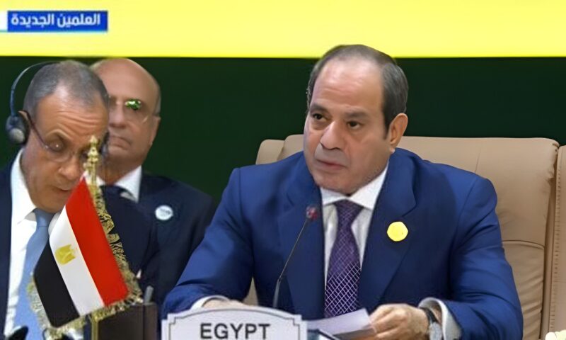 الرئيس السيسي: مصر تواصل الجهود لإنشاء صندوق للتنمية في إفريقيا وتعزيز قدرات القارة الجماعية