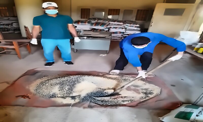 عقب إزالة المحاصيل الصيفية.. انطلاق أعمال الحملة القومية لمكافحة القوارض بسوهاج