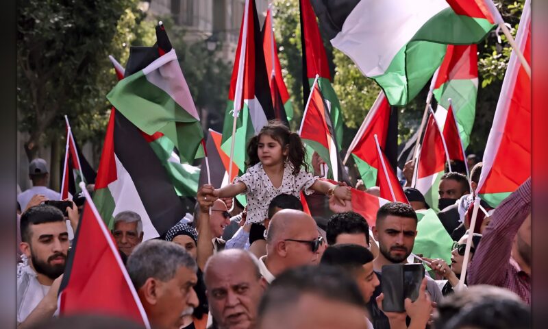 الأحزاب السياسية: من رفاهية الديمقراطية إلى درع التحرر
