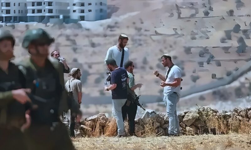 مستوطنون يعتدون على قاطفي الزيتون غرب رام الله ودير بلوط.. والاحتلال يعتقل 4 في دير استيا